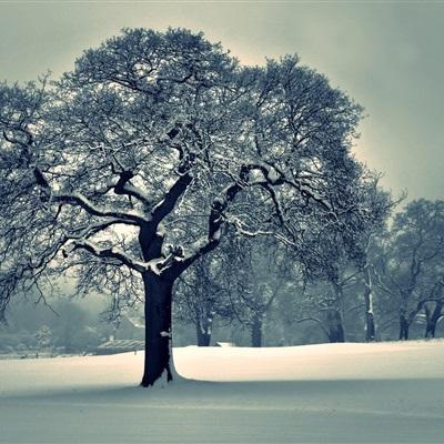 江南全站登录下载手机版