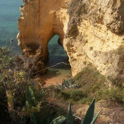 开运·kaiyunapp下载